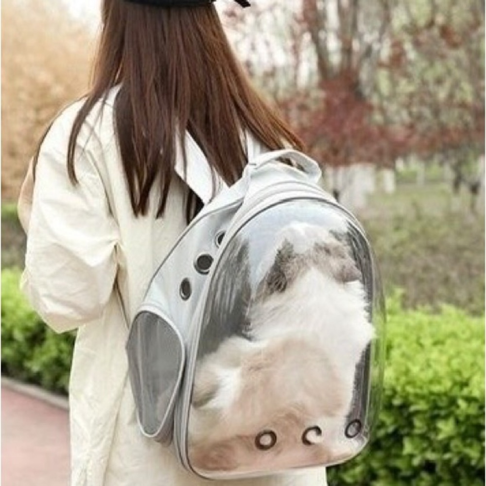- (NEW)Gray PetPack Clear Bubble Carrying Bag Small, dogs Cats, Space Capsule …